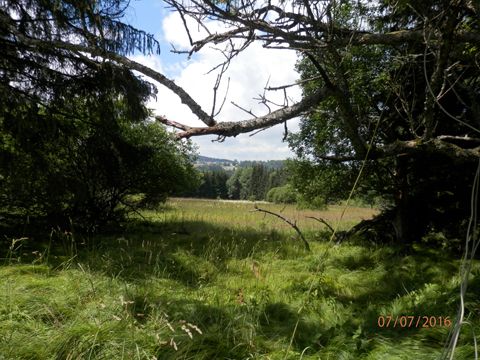 Foto 50